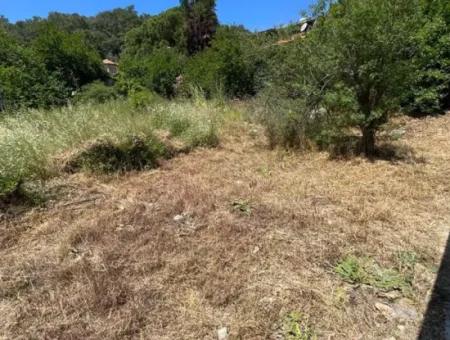 Grundstück Zu Verkaufen In Ortaca Çayli Mahallesi, Muğla