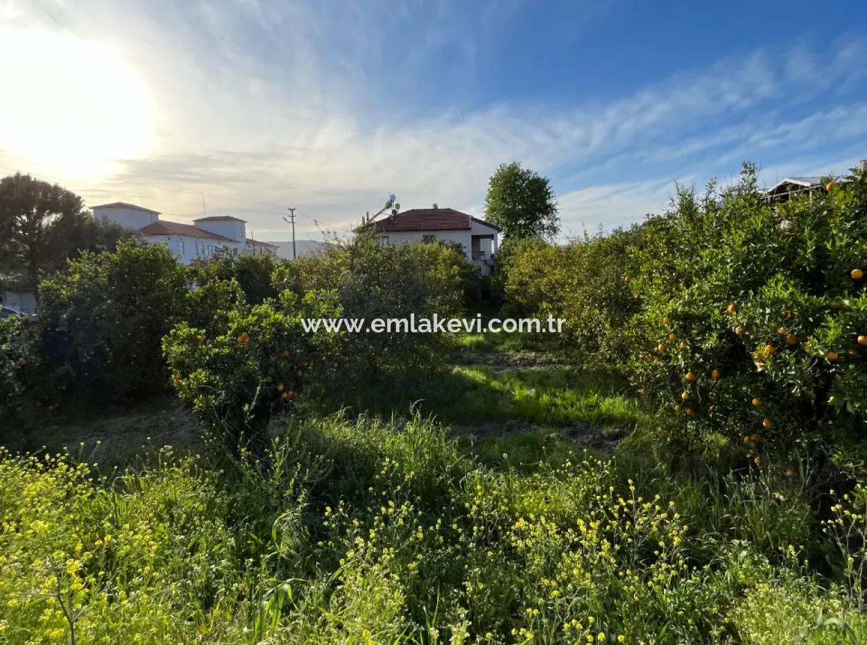 Commercial Land For Sale In Ortaca Dikmekavak Neighborhood