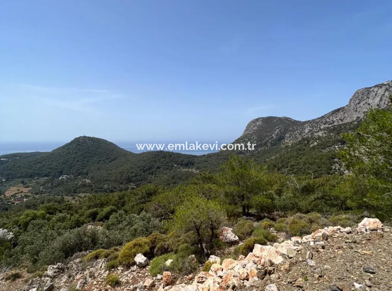 İlhan Emlaktan Sarigermede 15 Decares Of Land For Sale