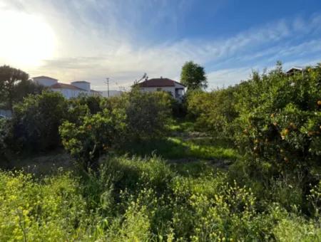 Commercial Land For Sale In Ortaca Dikmekavak Neighborhood