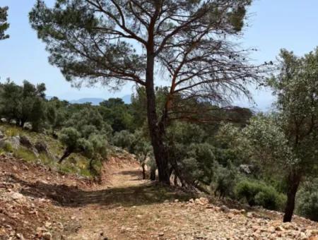 İlhan Emlaktan Sarigermede 15 Decares Of Land For Sale