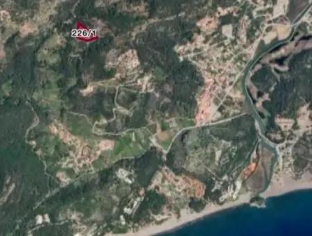 İlhan Emlaktan Sarigermede 15 Decares Of Land For Sale