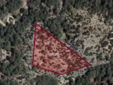 İlhan Emlaktan Sarigermede 15 Decares Of Land For Sale