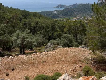 İlhan Emlaktan Sarigermede 15 Decares Of Land For Sale