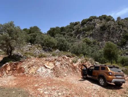 İlhan Emlaktan Sarigermede 15 Decares Of Land For Sale