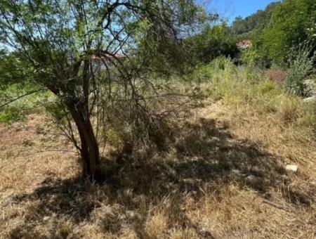 Land For Sale In Ortaca Çayli Mahallesi, Muğla