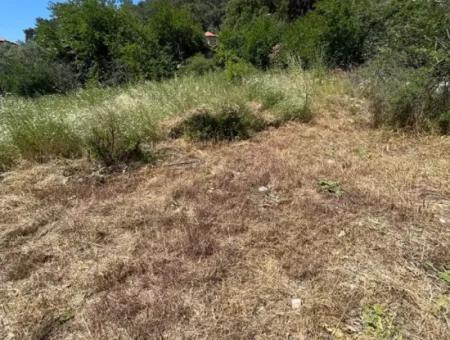 Land For Sale In Ortaca Çayli Mahallesi, Muğla