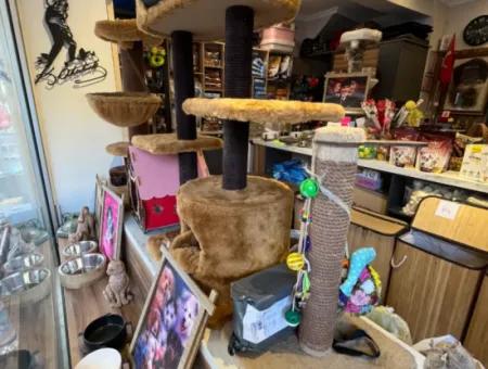 Rent Pet Shop Shop For Rent In The Center Of Ortaca, Mugla