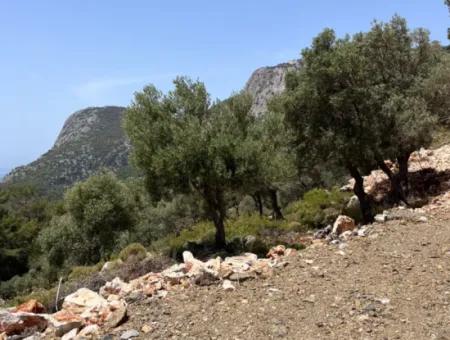 İlhan Emlaktan Sarıgermede Satılık Yatırımlık Arazi